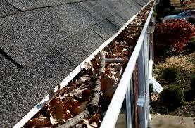 Gutter cleaning