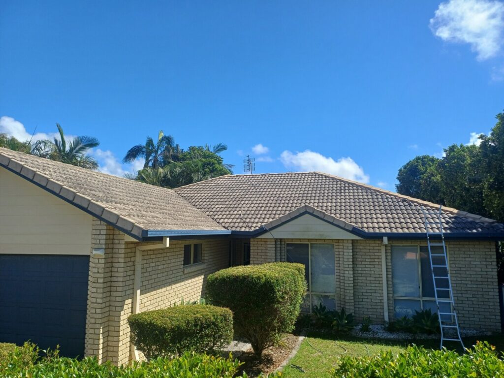 roof cleaning