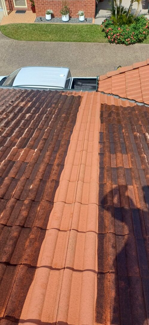 black stains on roof tiles